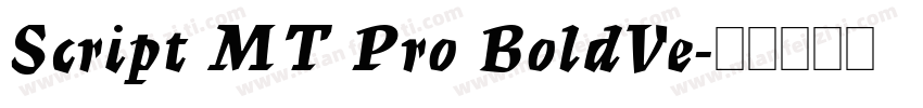 Script MT Pro BoldVe字体转换
